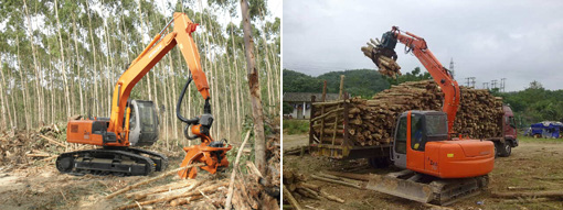 照片：日立建机联合app在海南试验林业机获得成功